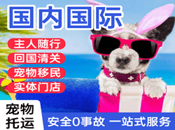 张家界机场货运国际宠物托运 【国